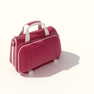 دانلود آبجکت کیف مدل Bag-17