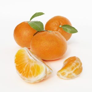 دانلود آبجکت میوه (نارنگی) مدل Fruit-10