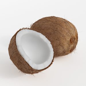 دانلود آبجکت میوه (نارگیل) مدل Fruit-11