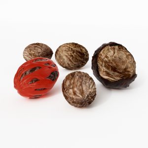 دانلود آبجکت میوه مدل Fruit-16