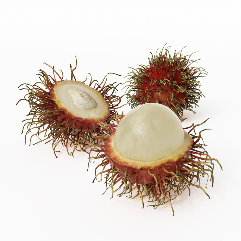 دانلود آبجکت میوه مدل Fruit-18