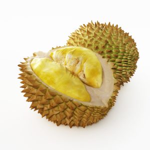 دانلود آبجکت میوه مدل Fruit-19