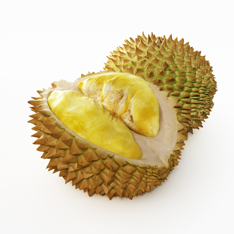 دانلود آبجکت میوه مدل Fruit-19