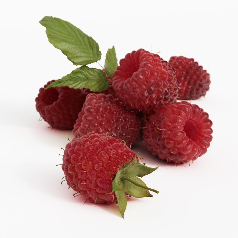 دانلود آبجکت میوه (توت فرنگی) مدل Fruit-23