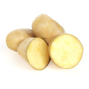 دانلود آبجکت میوه مدل Fruit-7