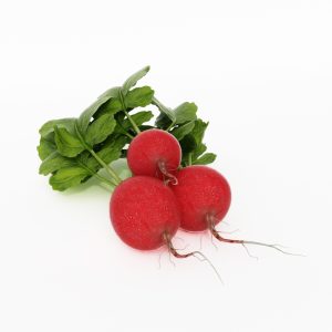 دانلود آبجکت میوه مدل Fruit-9