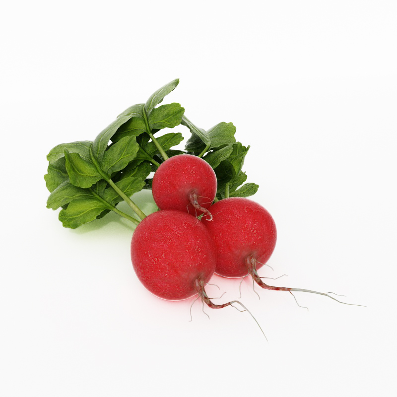 دانلود آبجکت میوه مدل Fruit-9