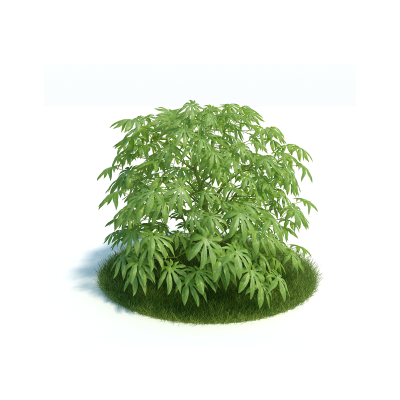 دانلود آبجکت گیاه مدل Plant-10