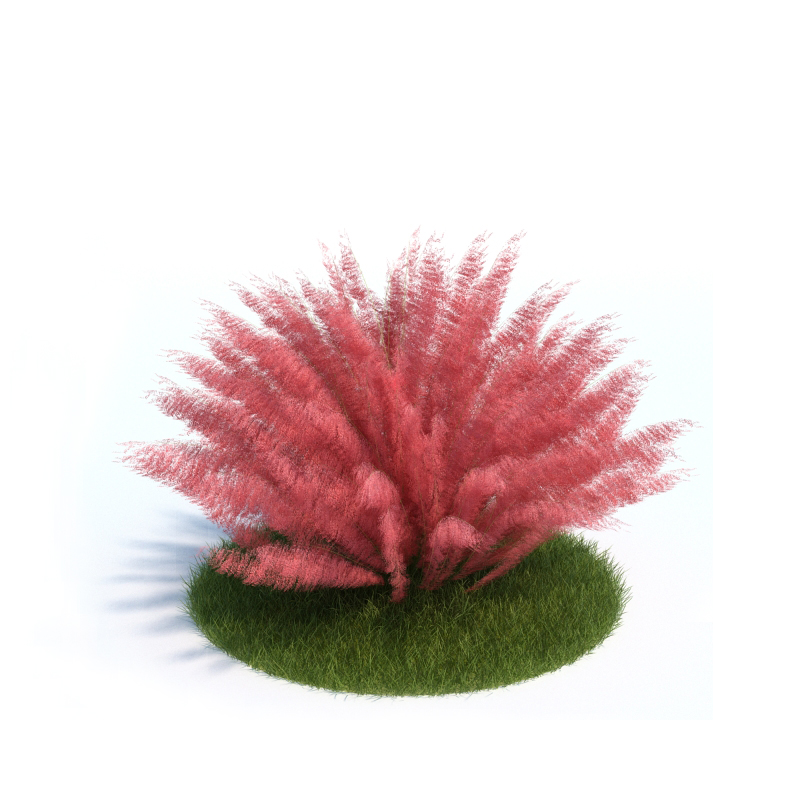 دانلود آبجکت گیاه مدل Plant-17