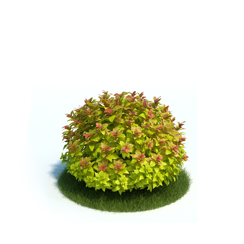 دانلود آبجکت گیاه مدل Plant-26