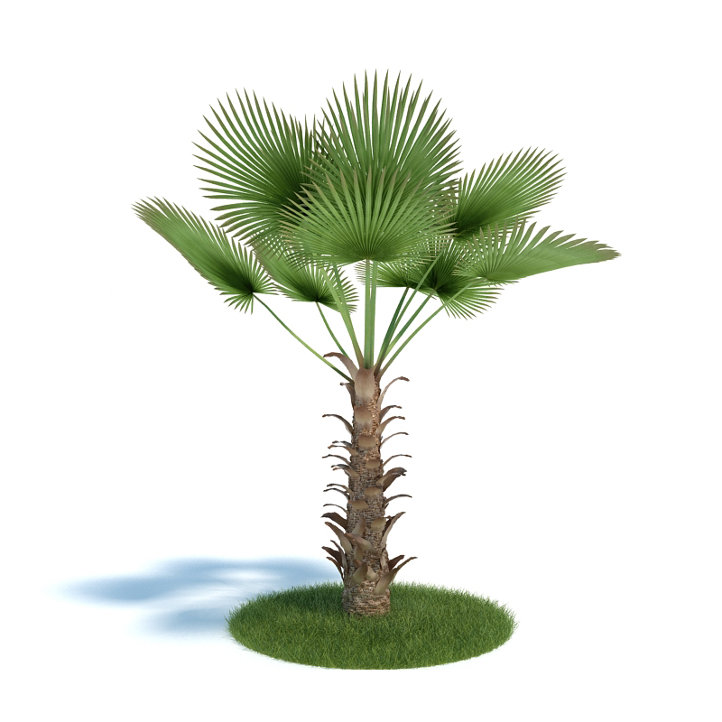 دانلود آبجکت گیاه مدل Plant-28
