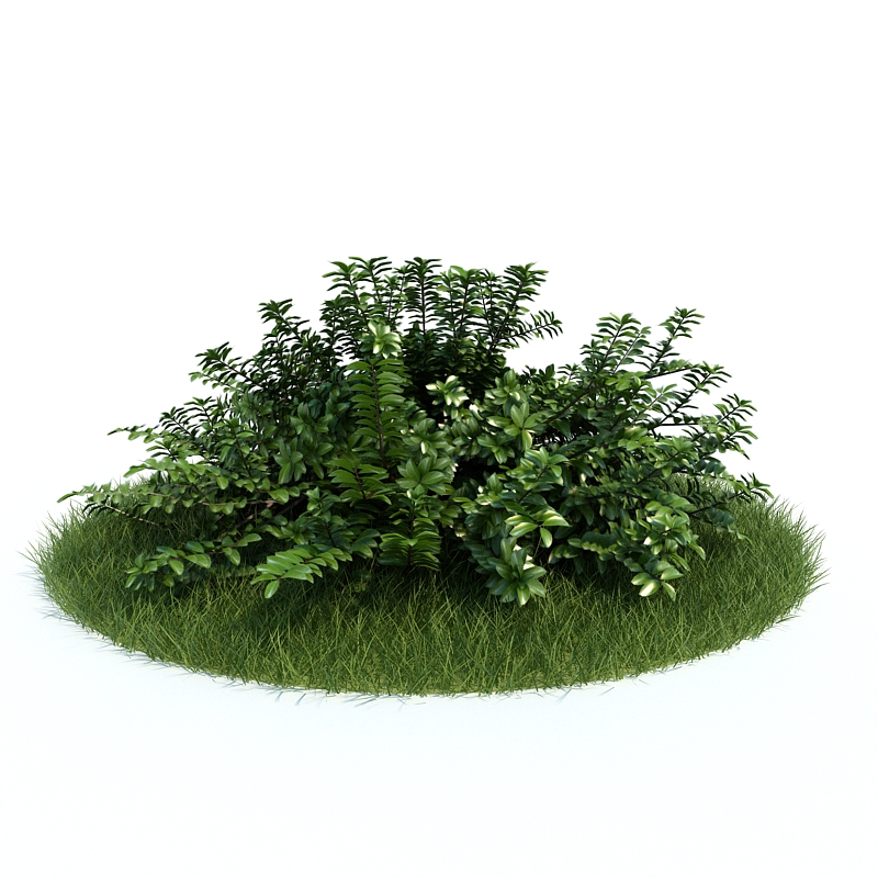 دانلود آبجکت گیاه مدل Plant-32