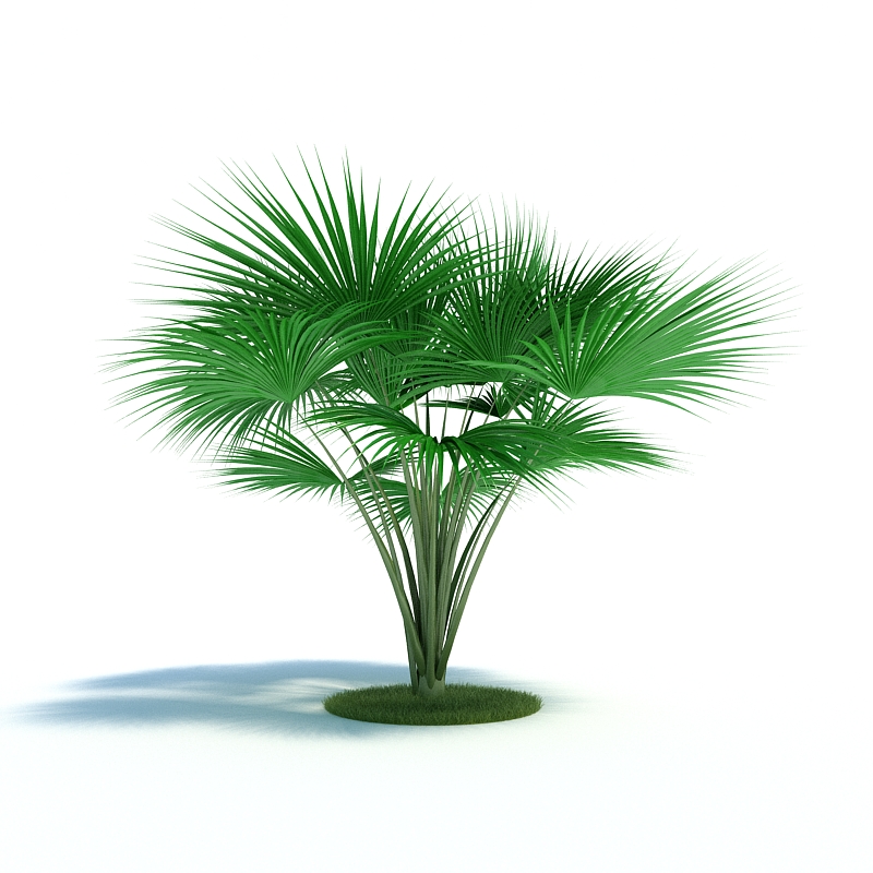 دانلود آبجکت گیاه مدل Plant-33