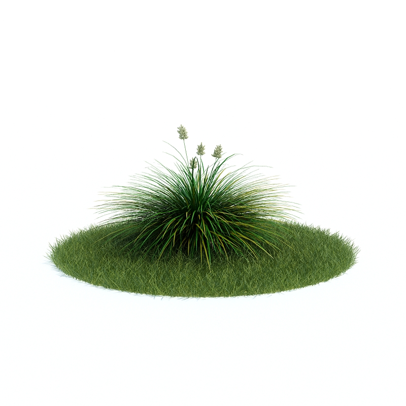 دانلود آبجکت گیاه مدل Plant-42