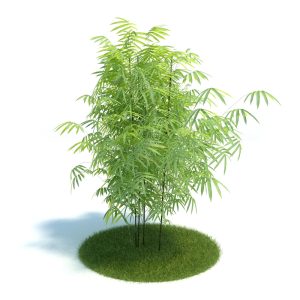 دانلود آبجکت گیاه مدل Plant-47