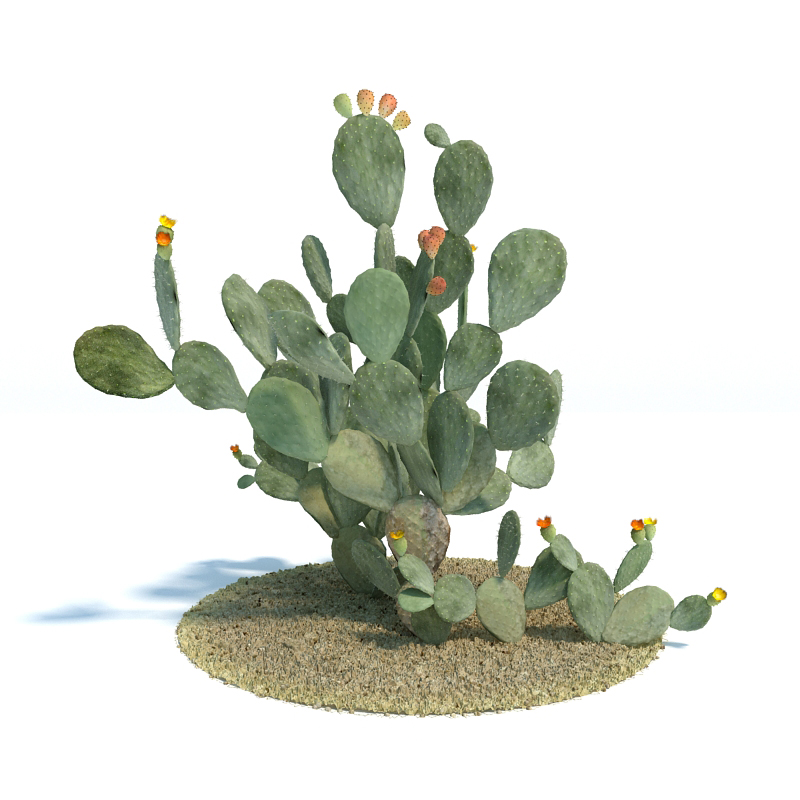 دانلود آبجکت گیاه مدل Plant-54