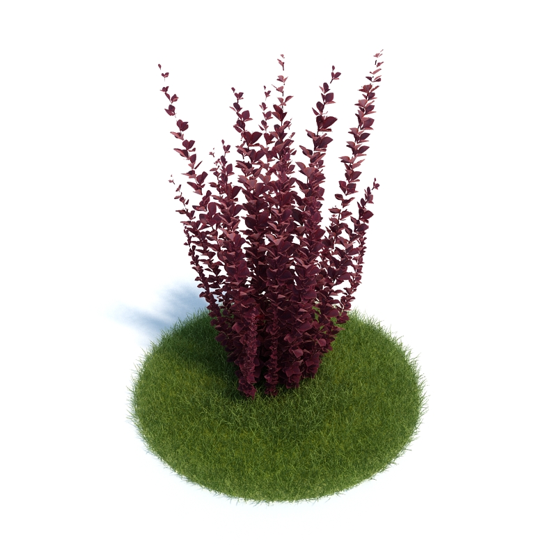 دانلود آبجکت گیاه مدل Plant-58