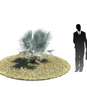 دانلود آبجکت درخت مدل Tree-11