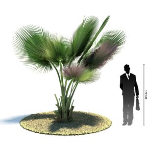 دانلود آبجکت درخت مدل Tree-12