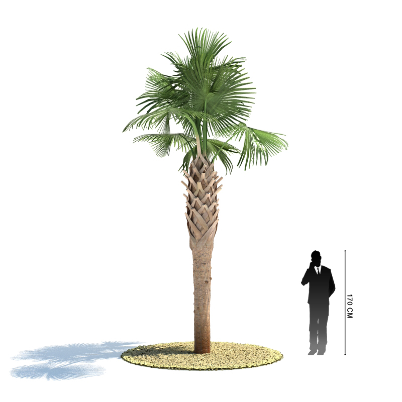 دانلود آبجکت درخت مدل Tree-14