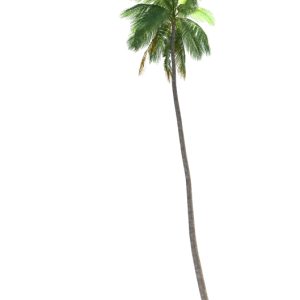 دانلود آبجکت درخت مدل Tree-18