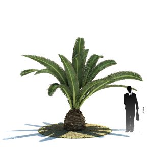 دانلود آبجکت درخت مدل Tree-22