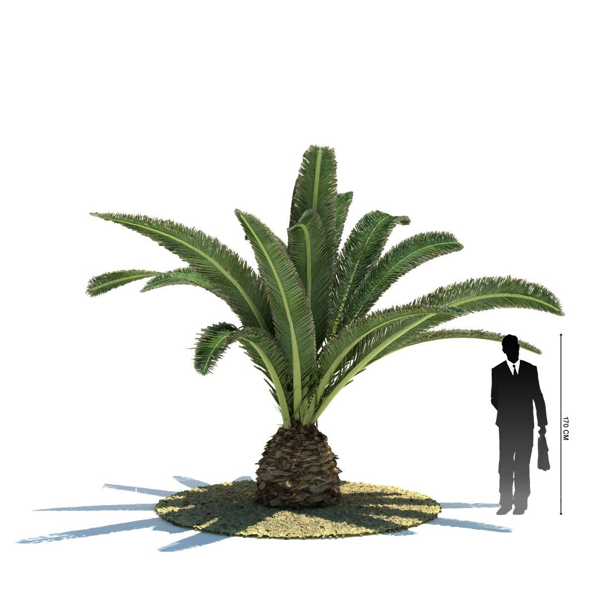 دانلود آبجکت درخت مدل Tree-22