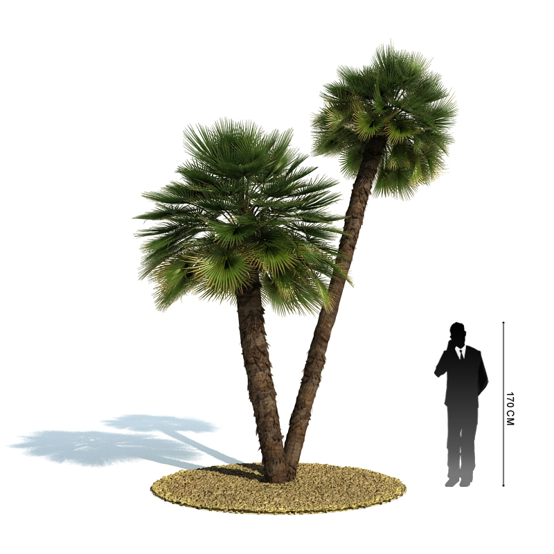 دانلود آبجکت درخت مدل Tree-24