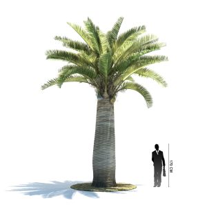 دانلود آبجکت درخت مدل Tree-27