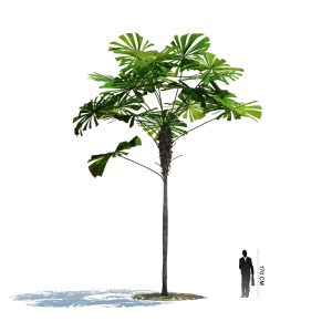 دانلود آبجکت درخت مدل Tree-29