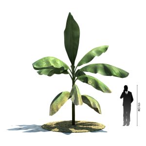 دانلود آبجکت درخت مدل Tree-31