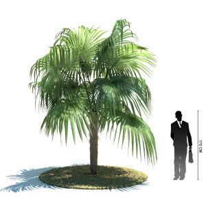 دانلود آبجکت درخت مدل Tree-38