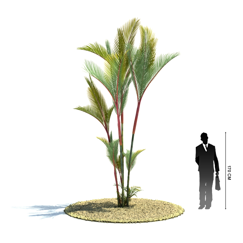 دانلود آبجکت درخت مدل Tree-43