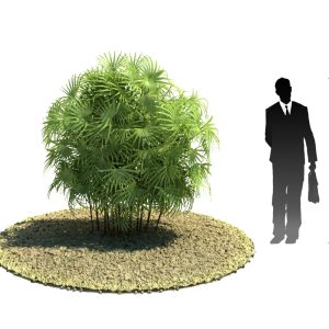 دانلود آبجکت درخت مدل Tree-45