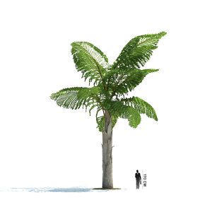 دانلود آبجکت درخت مدل Tree-46