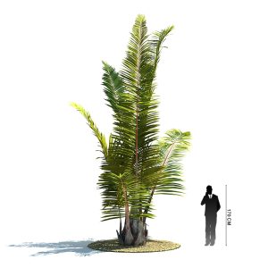 دانلود آبجکت درخت مدل Tree-49