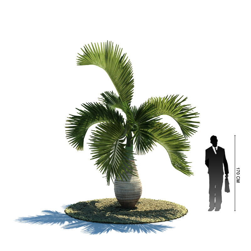 دانلود آبجکت درخت مدل Tree-5