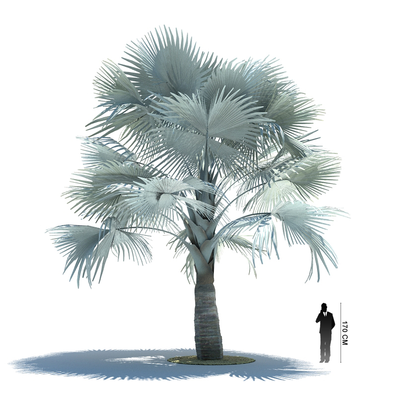 دانلود آبجکت درخت مدل Tree-50