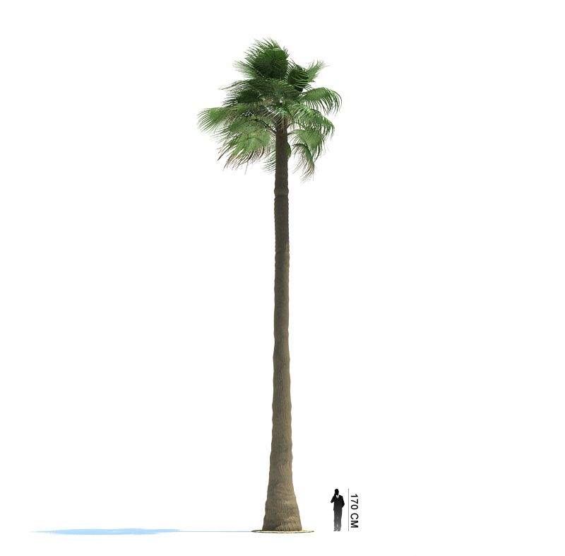 دانلود آبجکت درخت مدل Tree-6