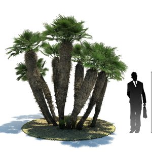 دانلود آبجکت درخت مدل Tree-7