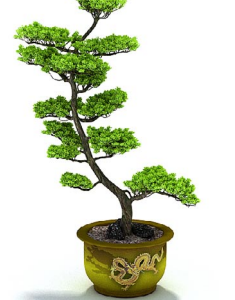دانلود آبجکت گیاه مدل Herb-102
