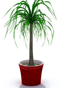 دانلود آبجکت گیاه مدل Herb-106