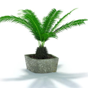دانلود آبجکت گیاه مدل Herb-110