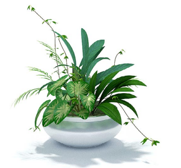 دانلود آبجکت گیاه مدل Herb-114