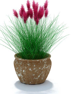 دانلود آبجکت گیاه مدل Herb-119