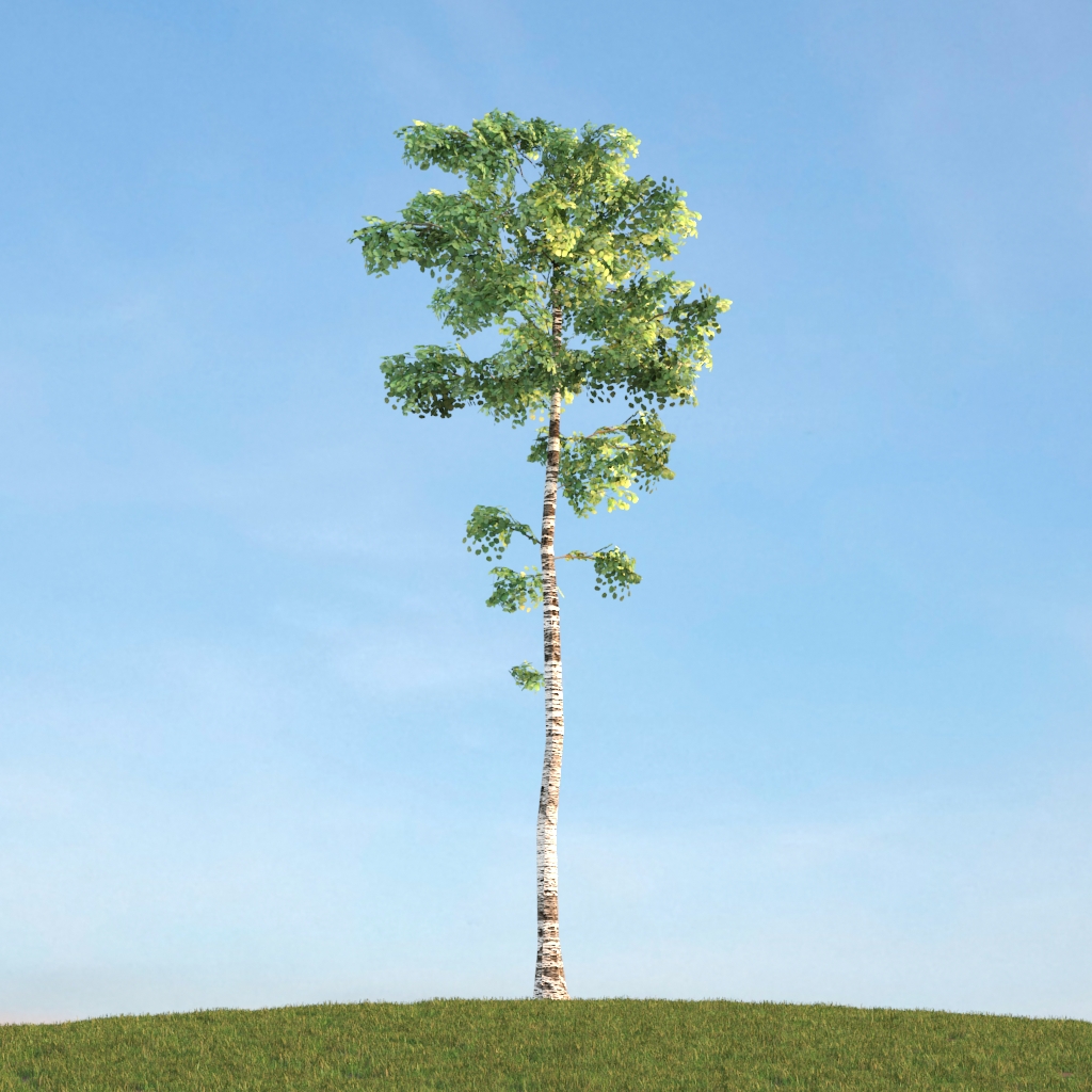 دانلود آبجکت گیاه مدل Herb-132