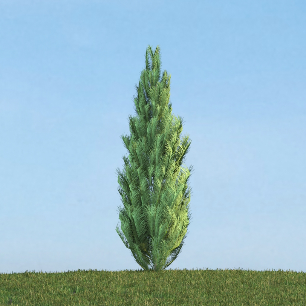 دانلود آبجکت گیاه مدل Herb-158
