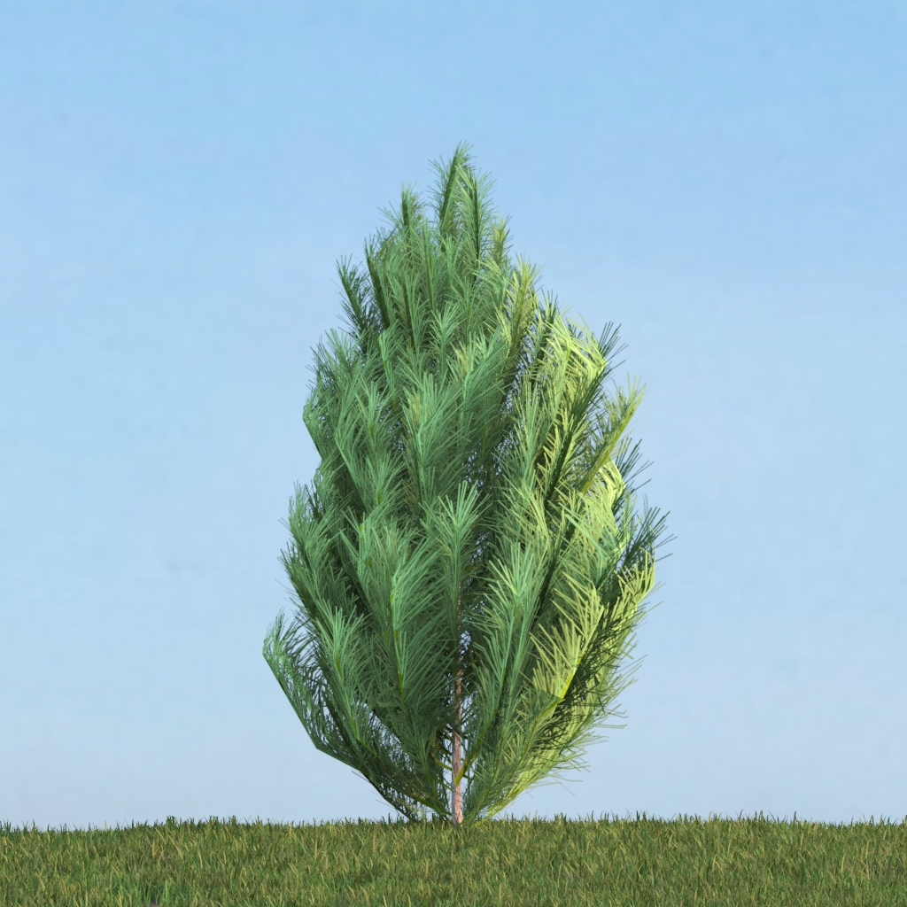 دانلود آبجکت گیاه مدل Herb-159