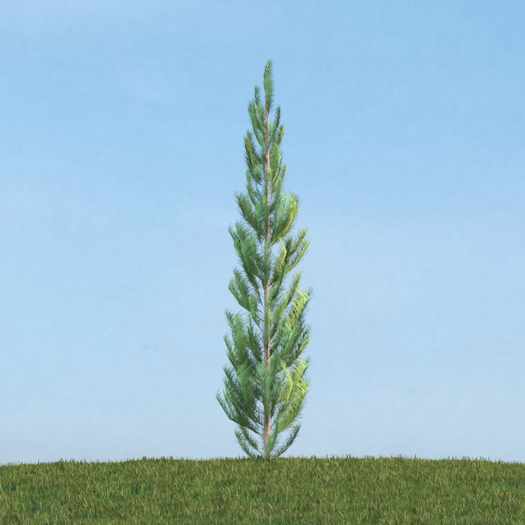 دانلود آبجکت گیاه مدل Herb-160