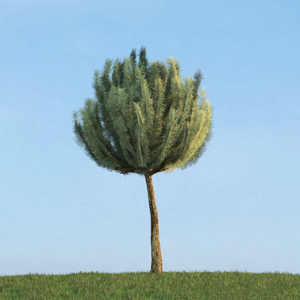 دانلود آبجکت گیاه مدل Herb-164